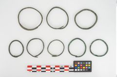 Foto von Bronzering (NHMW-PRAE-026627)